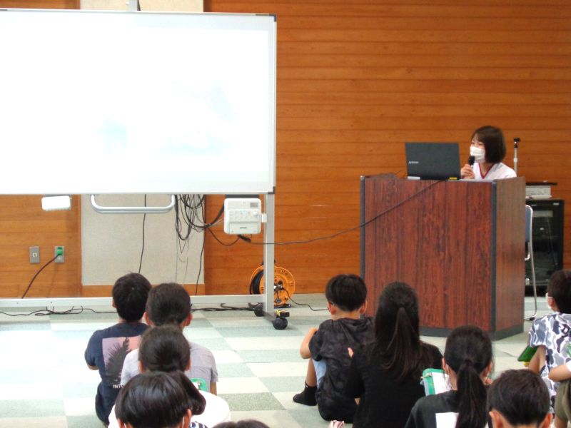 小学校でおこなった看護の出前授業